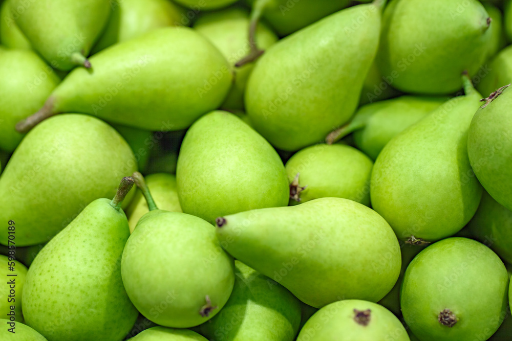 Green pears, in bulk, on supermarket, selective focus Green pears, in bulk, on supermarket, selective focus