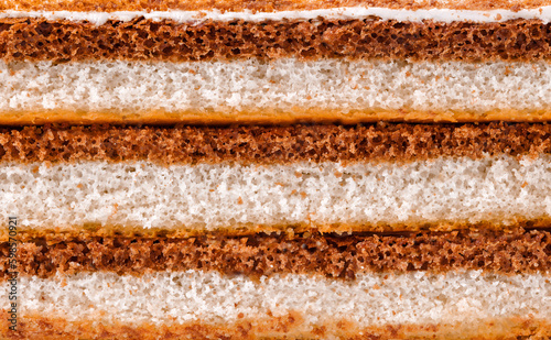 Sponge cake, dark and light layers close-up view on side