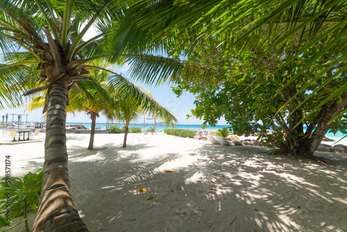 Anse Kerlan beach shore on a sunny day photo