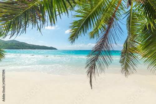 Fototapeta Naklejka Na Ścianę i Meble -  Palm tree and turquoise water in Anse Lazio beach