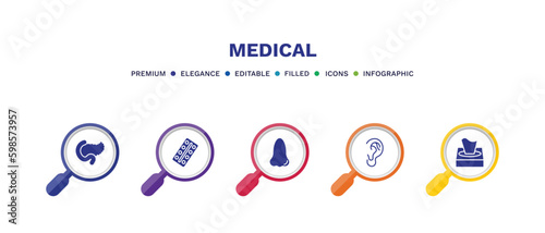 set of medical filled icons. medical filled icons with infographic template. flat icons such as pancreas, tablets, e, ear, tissue paper vector.