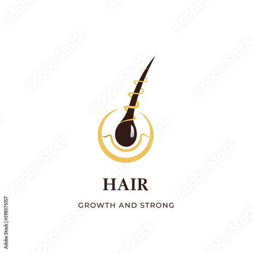 hair logo icon design template illustration