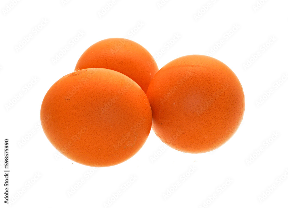 chicken egg isolated on white background chicken egg isolated on white background