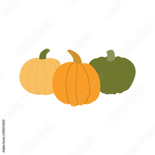 Different pumpkins hand drawn illustration. Cartoon style flat design, isolated vector. Summer, autumn harvest, farmer market print element, farming, gardening, healthy, vegetarian food