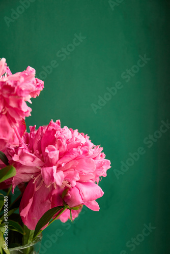 Fototapeta Naklejka Na Ścianę i Meble -  Pink peony flowers with copy space on green background
