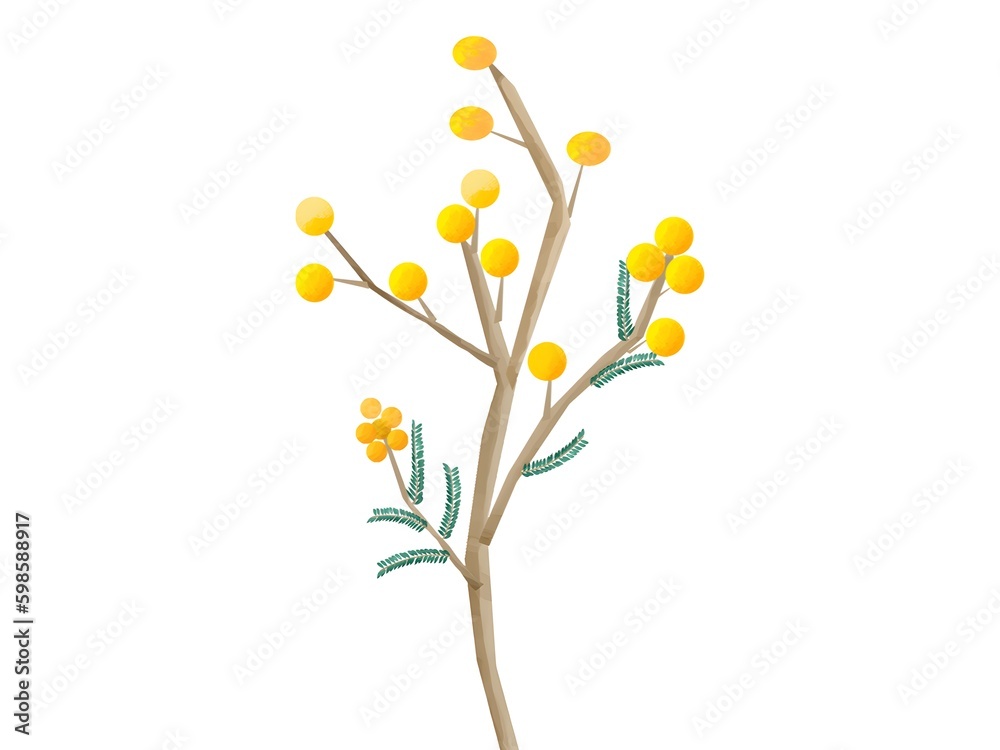 yellow flowers on a white background, yellow flowers on a tree, yellow flowers with leaves on a tree