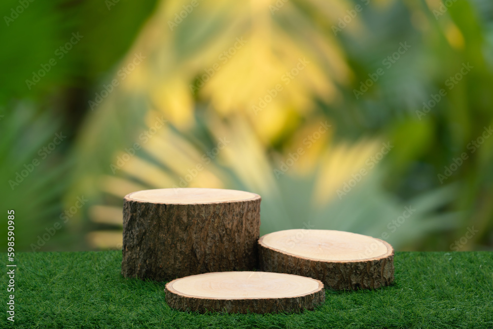 Wood tabletop podium floor in outdoors blur green tropical leaf tropical forest nature landscape background.cosmetic natural product mock up placement pedestal stand display,jungle summer concept. Wood tabletop podium floor in outdoors blur green tropical leaf tropical forest nature landscape background.cosmetic natural product mock up placement pedestal stand display,jungle summer concept.