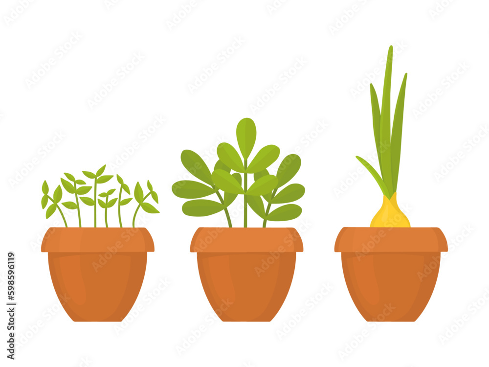 Set of seedlings in a pot.. Vector set of isolated illustrations of seedlings. Growing plants in a pot. Set of seedlings in a pot.. Vector set of isolated illustrations of seedlings. Growing plants in a pot.