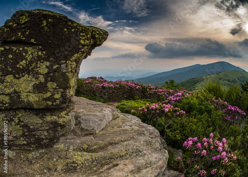 Rocky Lookout on Jane Bald with Rhododendron photo