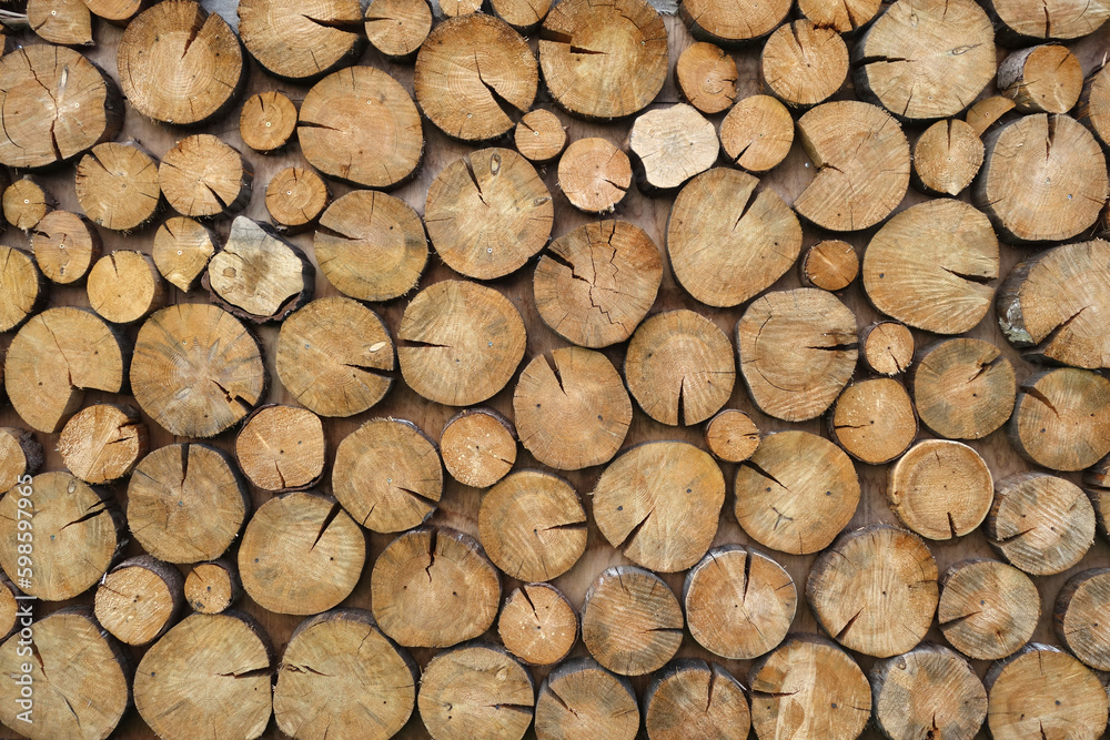 Wall made of tree cuts. Wall made of tree cuts.