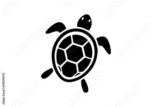 vector turtle animal drawing designs