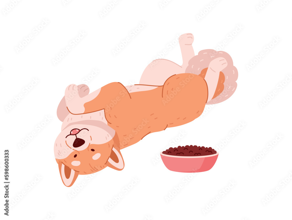 Obraz premium Cute Shiba Inu dog rolls on his back, flat vector illustration isolated.