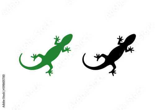 vector lizard animal drawing designs