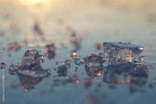 leaves in water