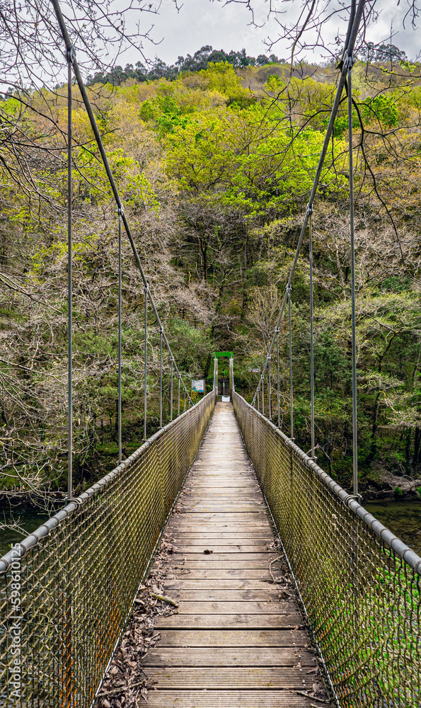 Obraz premium Pontedeume, Galicia, Spain - April 3, 2023: Suspension bridge in the natural reserve of 