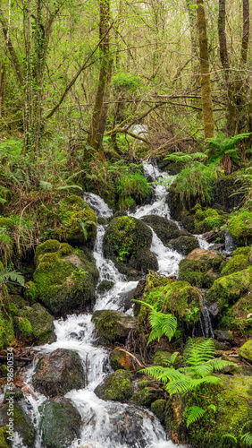 Pontedeume  Galicia  Spain - April 3  2023  Reserve of  Fragas do Eume  