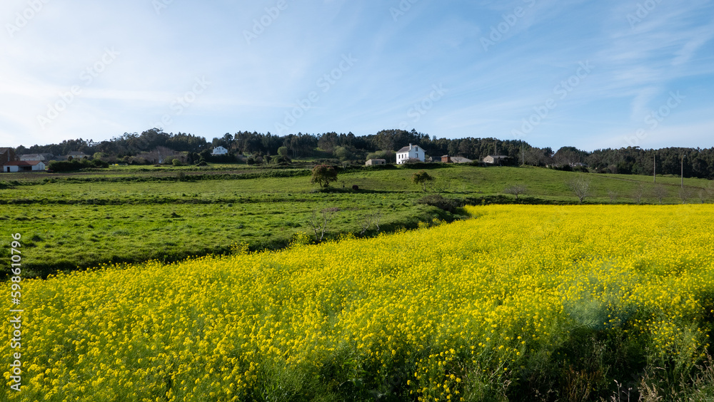 Loiba, Galicia, Spain - April 2, 2023: Rural landscape in 
