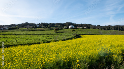 Loiba, Galicia, Spain - April 2, 2023: Rural landscape in "Rias Altas"