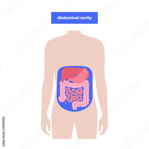 Abdominal cavity poster Generative AI