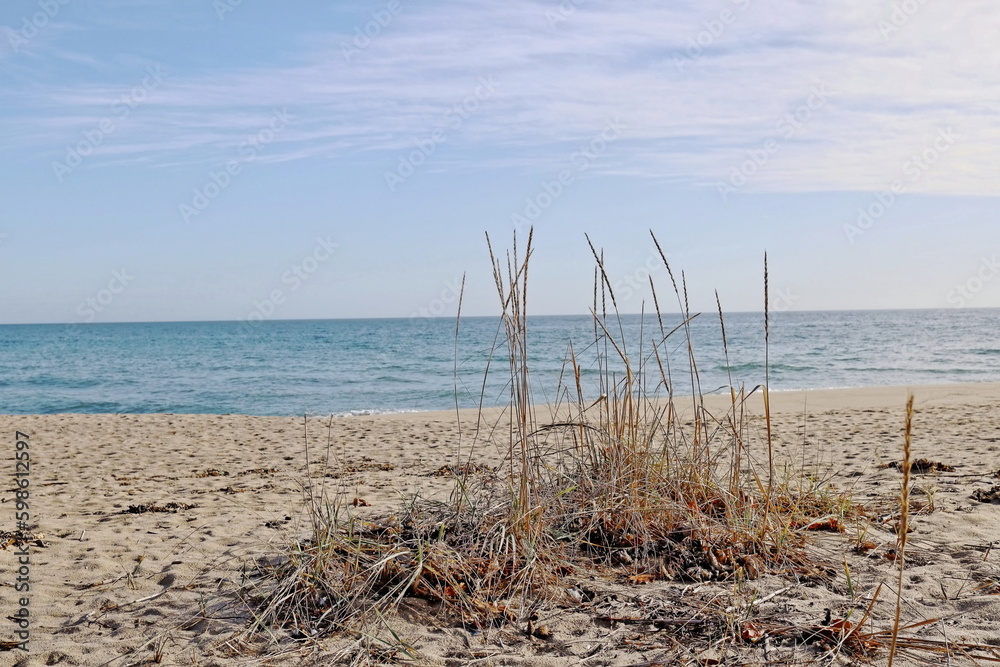 beach and sea