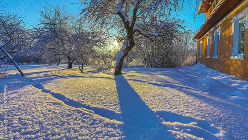 Amazing descending motion Timelapse of sunset rays behind snowy tree by cabin photo