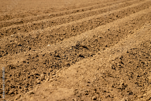 ridges of recently plowed red earth, sustainable agriculture
