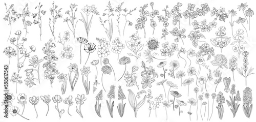 Flowers. Hand drawn big vector collection on white. Isolated elements. Perfect for logo, invitations, greeting cards and as a design element.