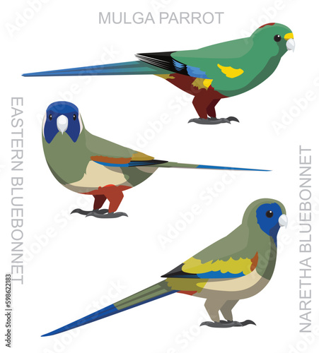 Cute Bird Australian Parrot Bluebonnet Set Cartoon Vector
