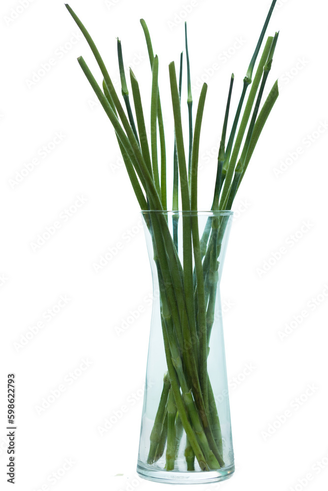 Lots of twigs arrange to decorate the bouquet Lots of twigs arrange to decorate the bouquet