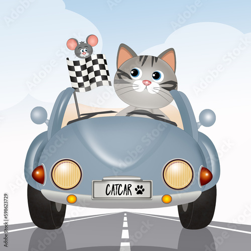 illustration of cat driving the car