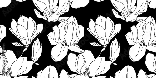 Magnolia flowers in bloom seamless pattern. Hand drawn realistic detailed vector illustration. White on black horizontal background.