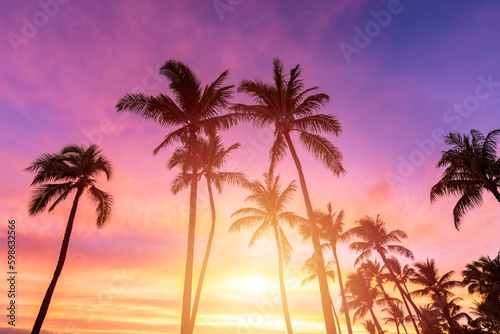 Silhouette coconut palm tree on sunset sky background © Mariusz Blach
