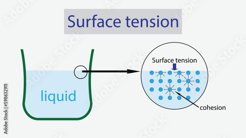 illustration of physics, Water has a surface tension, Surface tension of water, the cohesive forces between water molecules at the surface, Surface tension explanation, adhesion