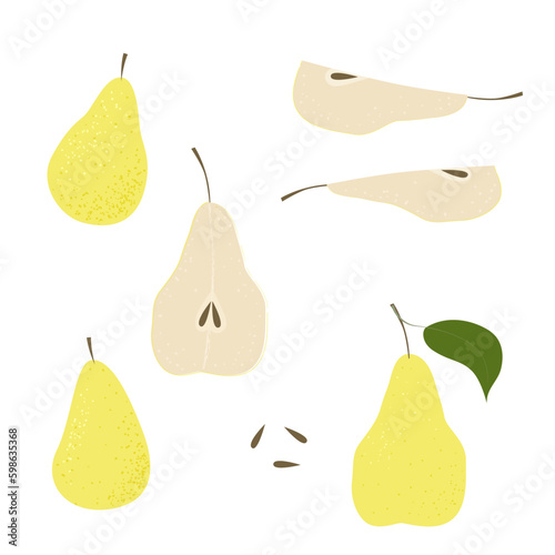 Pear slice seed. Summer fruits textured. Hand drawn organic vector illustration