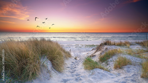 Fototapeta Naklejka Na Ścianę i Meble -  Strandzugang zum Meer an der Ostsee im Sonnenuntergang
