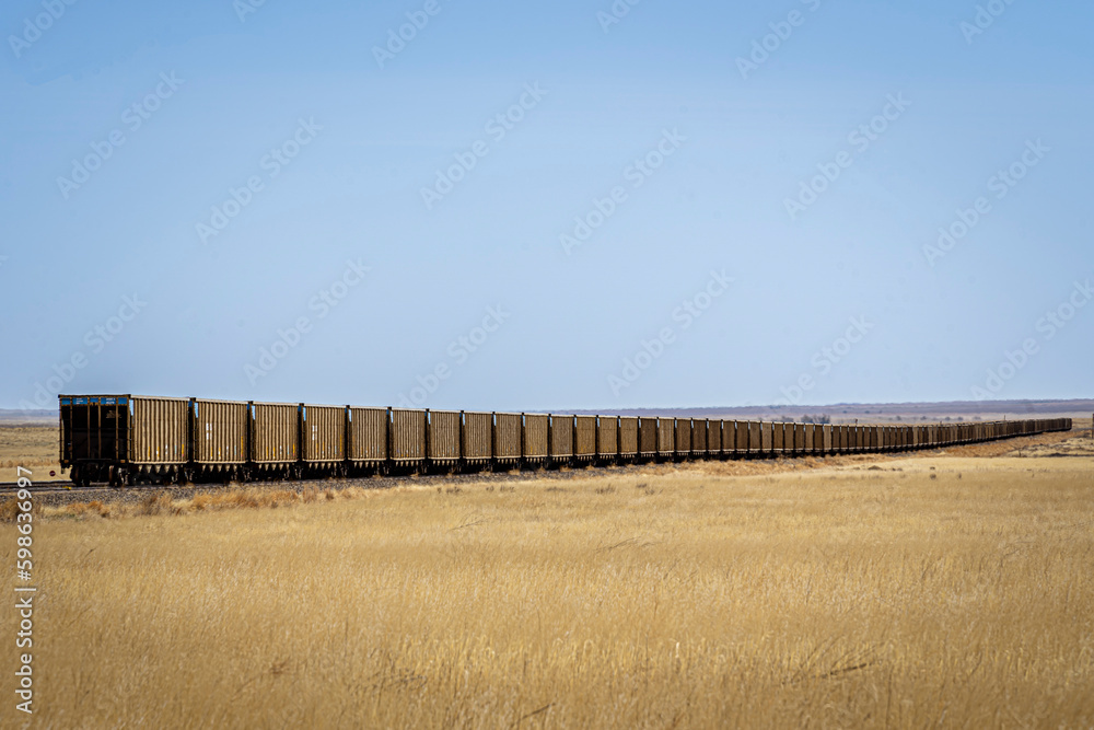 long train in field