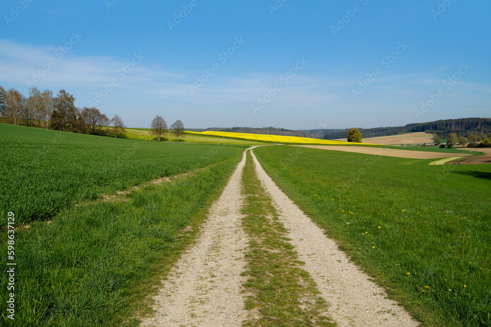 endless road leading through the green fields of the tranquil Bavarian countryside by the Rechbergreuthen village on a sunny spring day (Winterbach, Guenzburg, Bavaria, Germany)
