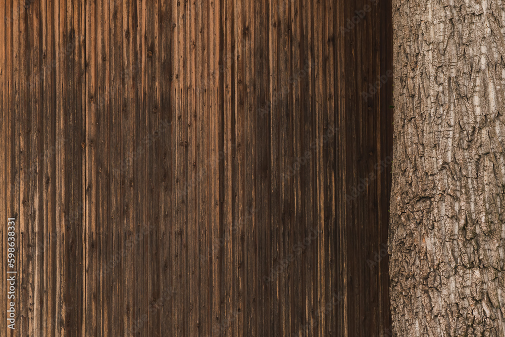 Fototapeta premium Wood as texture, tree trunk crust and wooden planks