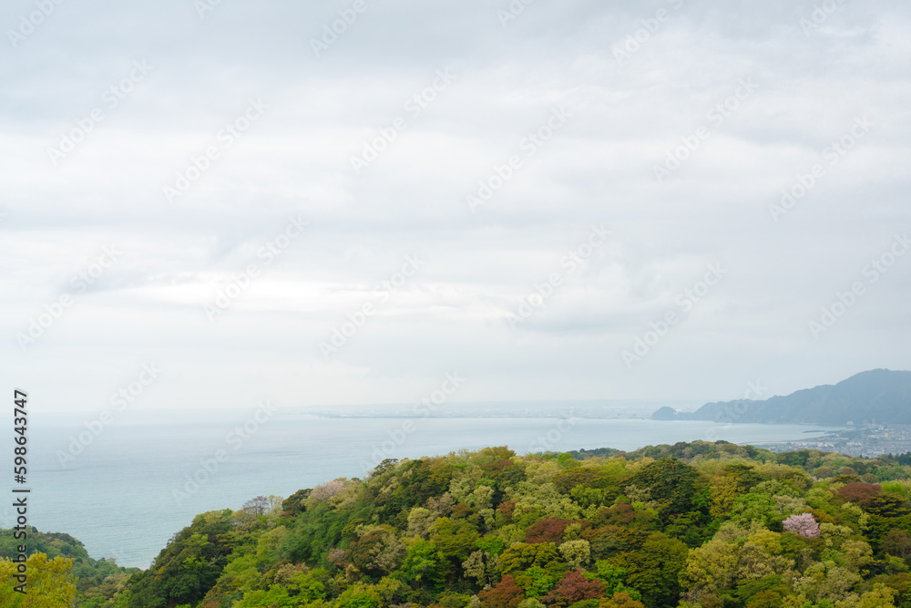 Nihondaira mountain forest and sea in Shizuoka, Japan