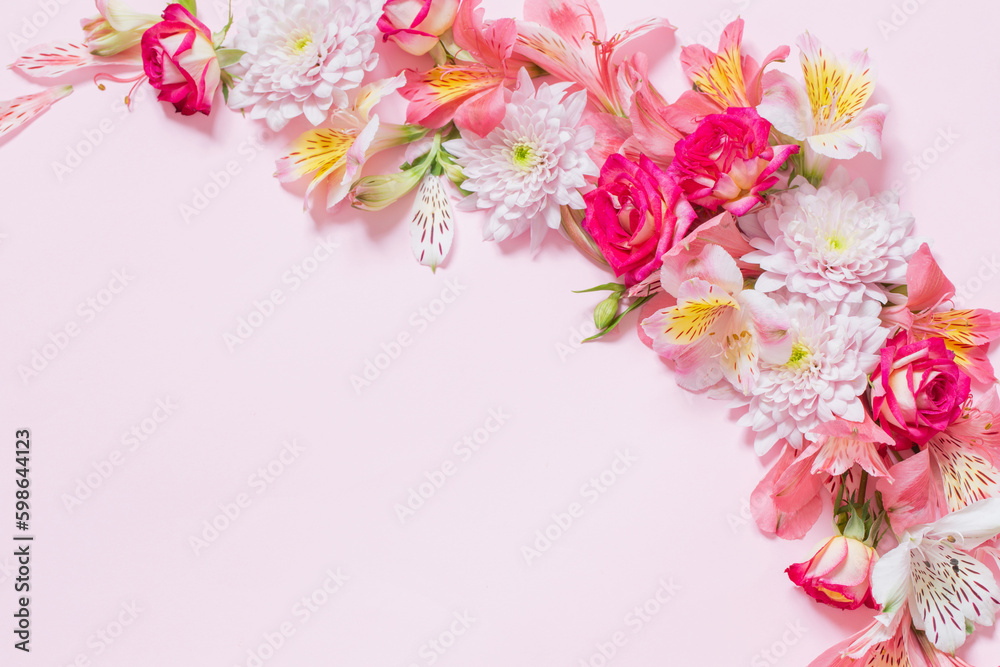 Fototapeta premium alstroemeriaand chrysanthemums flowers on pink background