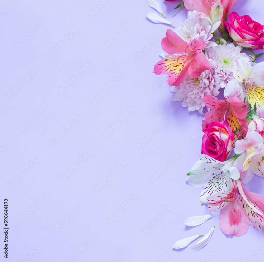 Fototapeta premium alstroemeriaand chrysanthemums flowers on violet background