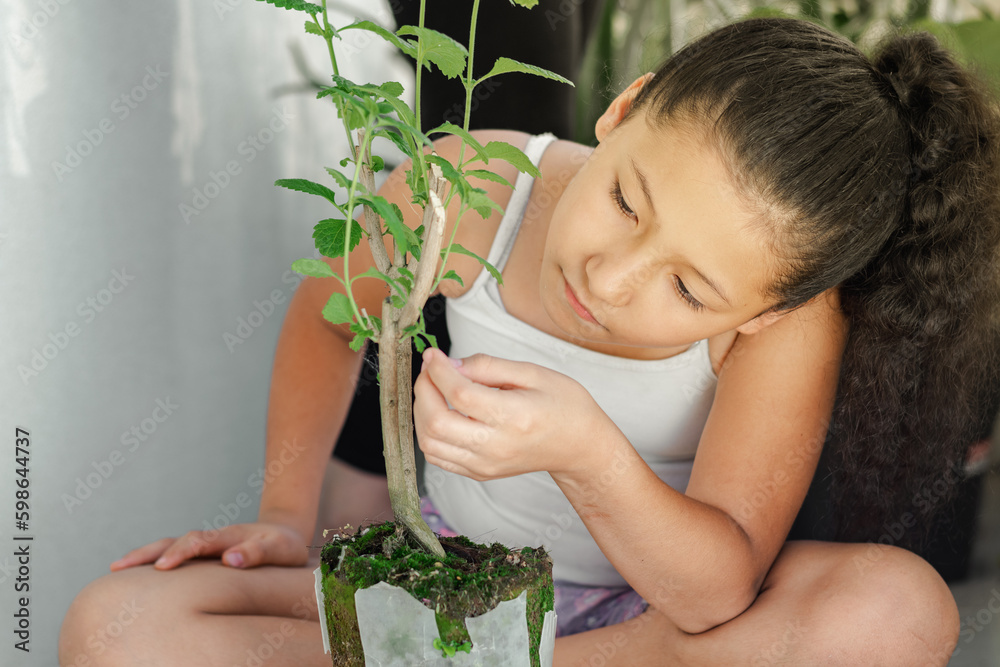 little brunette latina girl, looking intently at the medicinal silver stem little brunette latina girl, looking intently at the medicinal silver stem