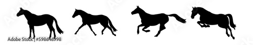 Collection of vector illustrations with horses on white background. Vector horse set, horse silhouette, rearing horse, horse logo templates and design elements