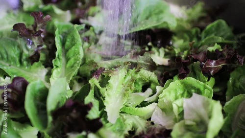 Soaking lettuce in kitchen sink. Cleaning vegetables completely before eating, soaking raw vegetables in water is relatively effective at sanitizing them.