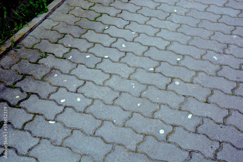 Obraz na plátně Cobblestone pavement with chewing gums stuck to it