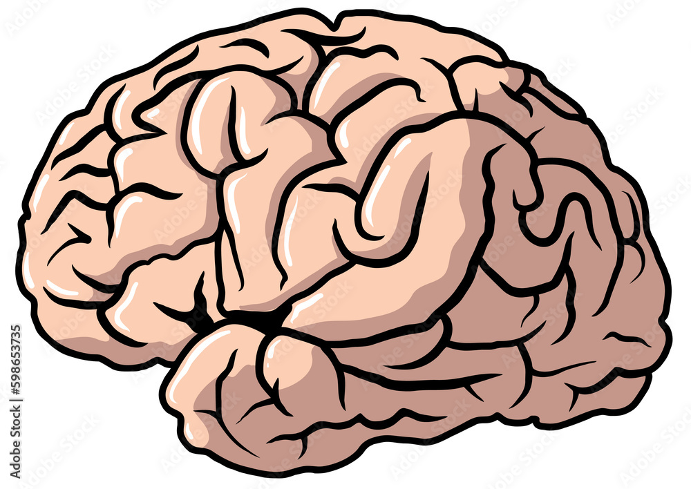 Bitmap drawing of a brain. Bitmap drawing of a brain.