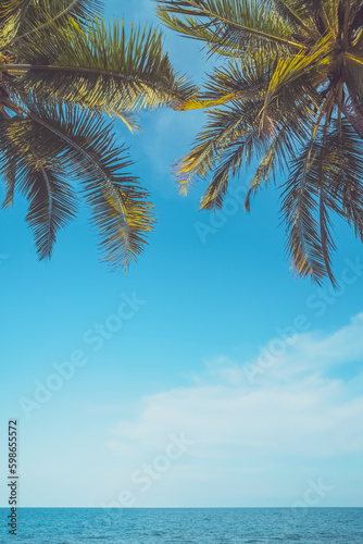 Tropical palm tree with blue sky and cloud abstract background. Summer vacation and nature travel adventure concept. © tonktiti