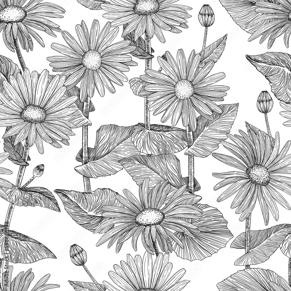 custom made wallpaper toronto digitalFloral seamless pattern. Background with daisies. Hand-drawn. Graphics. Engraving