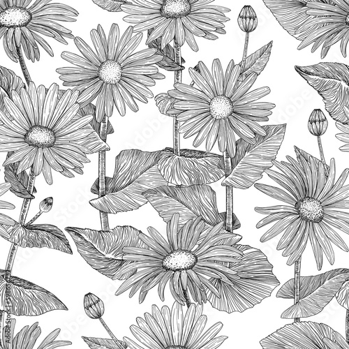Wallpaper Mural Floral seamless pattern. Background with daisies. Hand-drawn. Graphics. Engraving Torontodigital.ca