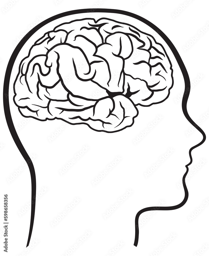 Brain in head line art drawing. Brain in head line art drawing.